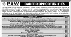 Social Image Pakistan Single Window PSW Latest Jobs March 2023 Apply Now