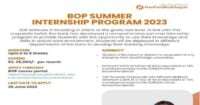 Social Image The Bank of Punjab BOP Summer Paid Internship Program 2023