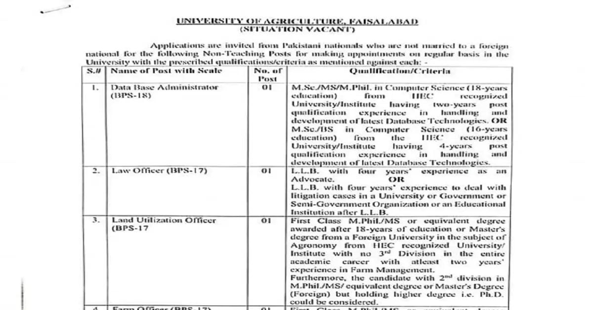 Social Image University of Agriculture Faisalabad Jobs 1st June 2023 Apply Now