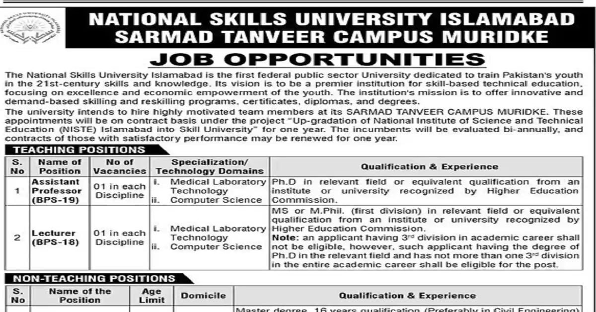 Social Image National Skills University Islamabad Jobs July 2023