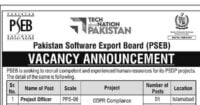 Social Image Pakistan Software Export Board PSEB Jobs July 2023