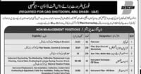 Social Image DESCON Engineering Limited UAE Jobs 2023 DAS Shutdown Apply Now
