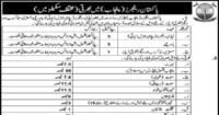 Social Image Pakistan Rangers Punjab Jobs 2023 Lady Rangers Apply Now