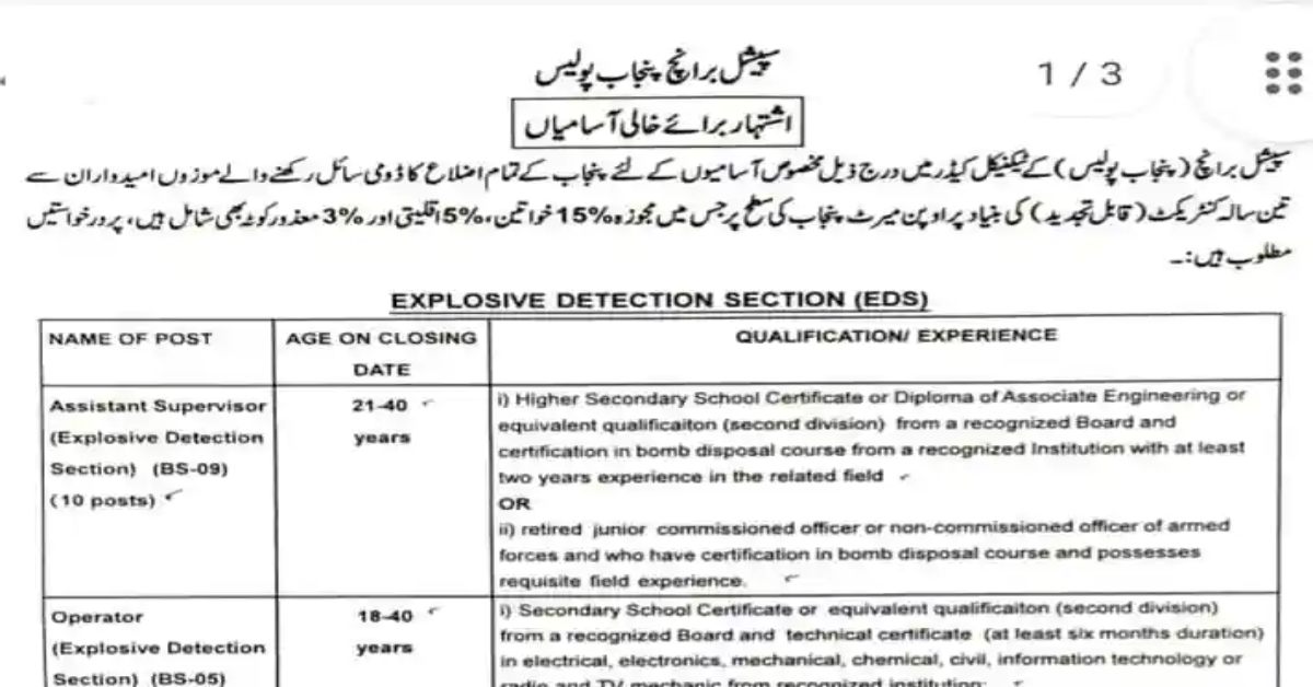 Punjab Police Jobs 2024