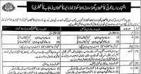 Punjab Police Constable Jobs 2024