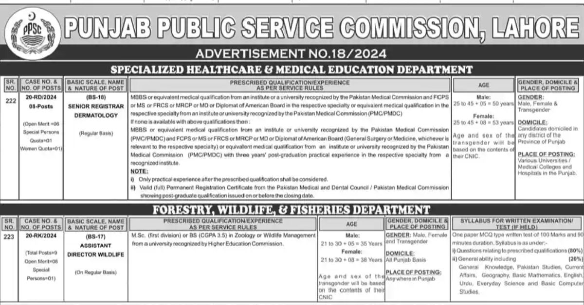 PPSC Jobs 2024 Ad No 18
