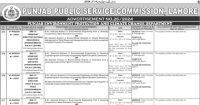 PPSC Jobs Ad No 26 2024