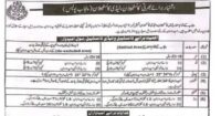 Punjab Police Constable Lady Constable Jobs 2025
