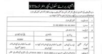 School Teaching Internships STI Program 2025